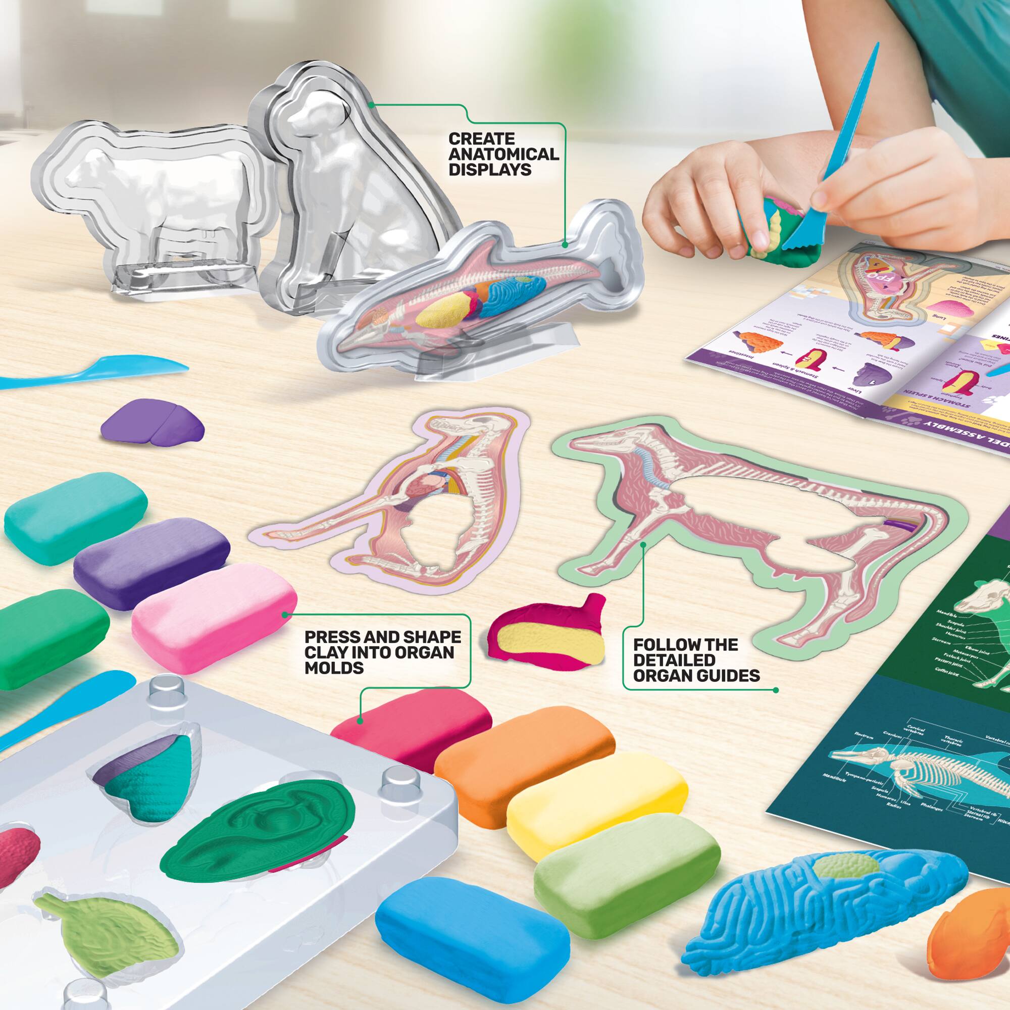 ArtSkills® Epic Lab Veterinary Science STEM Kit